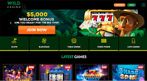 Wild Joker Online Casino Evaluation: Our Verdict